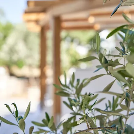 Dream On Plaka (Naxos)