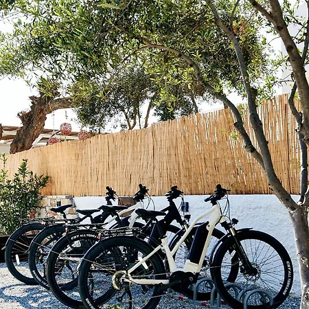 게스트하우스 Dream On 3*