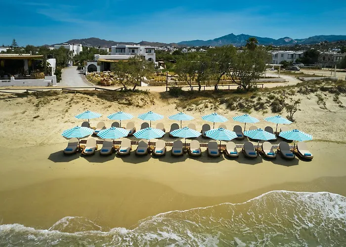 招待所 Dream On 3*